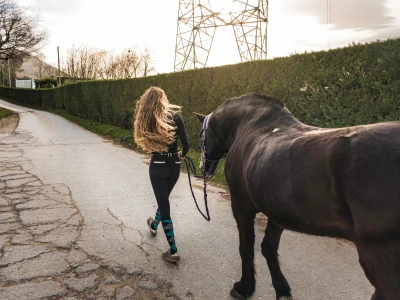 Conduire un cheval à la main.