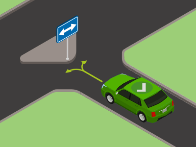 Zowel links als rechts voorbijrijden is toegelaten als je dit bord ziet.